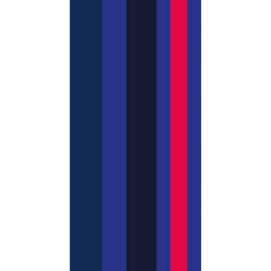STRIPES Coolmax tubular collar
